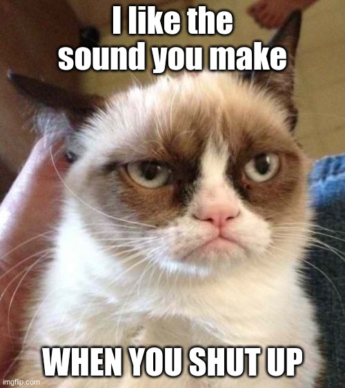 Grumpy Cat Reverse | I like the sound you make; WHEN YOU SHUT UP | image tagged in memes,grumpy cat reverse,grumpy cat | made w/ Imgflip meme maker