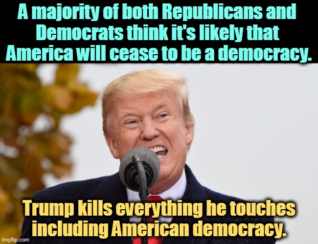 A majority of both Republicans and 
Democrats think it's likely that 
America will cease to be a democracy. Trump kills everything he touches
including American democracy. | image tagged in republicans,democrats,worry,future,american,democracy | made w/ Imgflip meme maker