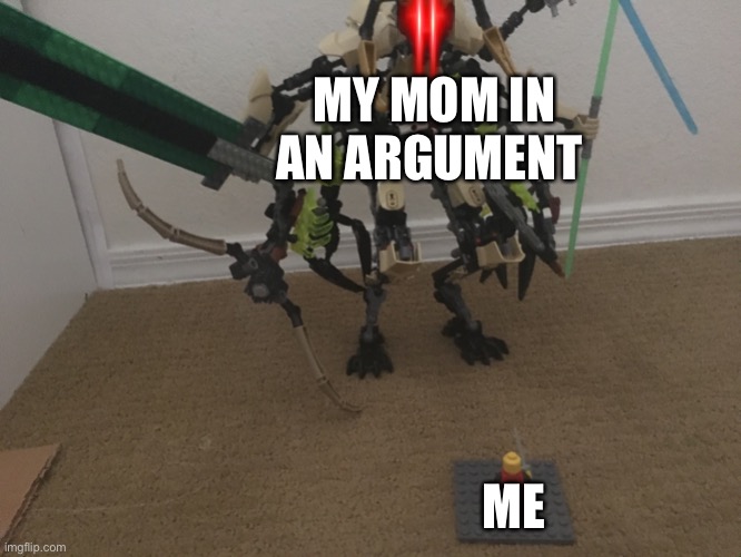 Actual photographic evidence of our argument | MY MOM IN AN ARGUMENT; ME | image tagged in lego guy versus giant lego guy | made w/ Imgflip meme maker