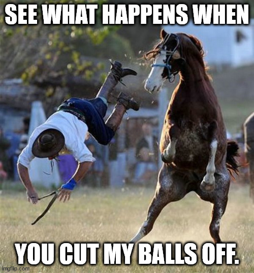 Horse wins. | SEE WHAT HAPPENS WHEN; YOU CUT MY BALLS OFF. | image tagged in horse fall,nasty horse,horsewins,bucker,winner,lovehorse | made w/ Imgflip meme maker