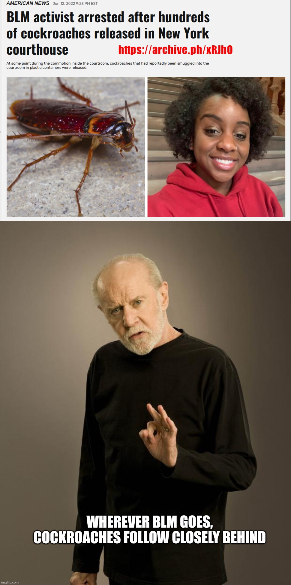 BLM and cockroaches. True partners. | WHEREVER BLM GOES, COCKROACHES FOLLOW CLOSELY BEHIND | image tagged in george carlin,blm | made w/ Imgflip meme maker