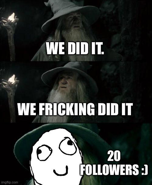 20 followers! | WE DID IT. WE FRICKING DID IT; 20 FOLLOWERS :) | image tagged in memes,confused gandalf | made w/ Imgflip meme maker