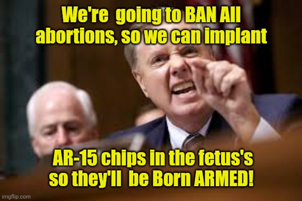 Lindsey Graham | We're  going to BAN All abortions, so we can implant; AR-15 chips in the fetus's so they'll  be Born ARMED! | image tagged in lindsey graham | made w/ Imgflip meme maker