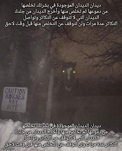 ديدان الديدان الموجودة في بشرتك تخلصها من دموعها ثم تخلص منها وأخرج الديدان من جلدك الديدان التي لا تتوقف عن التكاثر وتواصل التكاثر عدة مرات ولن تتوقف عن التخلص منها قبل وقت لاحق; ديدان الديدان الموجودة في بشرتك تخلصها من دموعها ثم تخلص منها وأخرج الديدان من جلدك الديدان التي لا تتوقف عن التكاثر وتواصل التكاثر عدة مرات ولن تتوقف عن التخلص منها قبل وقت لاحق | made w/ Imgflip meme maker