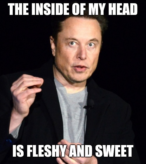 musk | THE INSIDE OF MY HEAD IS FLESHY AND SWEET | image tagged in musk | made w/ Imgflip meme maker