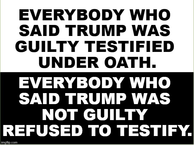 Hmmmm. | EVERYBODY WHO 
SAID TRUMP WAS 
GUILTY TESTIFIED 
UNDER OATH. EVERYBODY WHO 
SAID TRUMP WAS 
NOT GUILTY 
REFUSED TO TESTIFY. | image tagged in trump,guilty,witnesses,innocent,liars | made w/ Imgflip meme maker