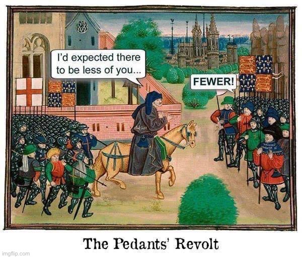 The Pedants’ Revolt | image tagged in the pedants revolt | made w/ Imgflip meme maker