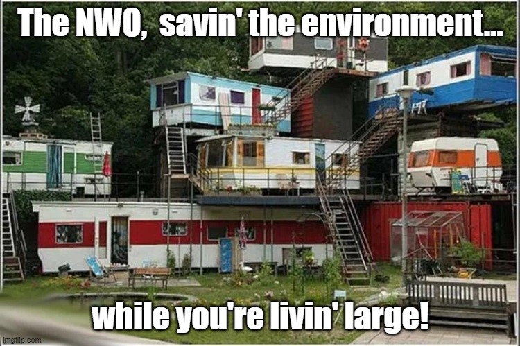 The NEW savin' the environment while you're livin large! | The NWO,  savin' the environment... while you're livin' large! | image tagged in the new savin' the environment while you're livin large | made w/ Imgflip meme maker