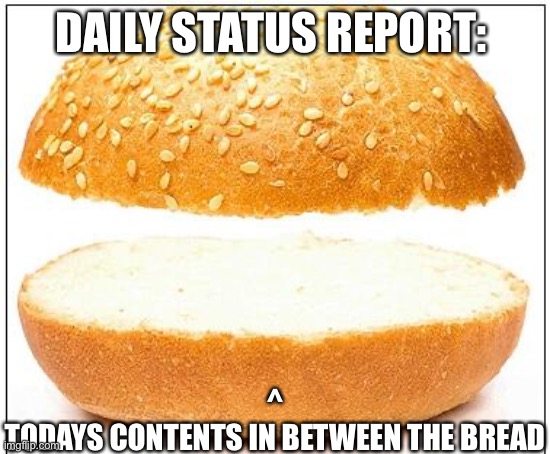 Nothing burger | DAILY STATUS REPORT:; ^
TODAYS CONTENTS IN BETWEEN THE BREAD | image tagged in nothing burger,daily,status,report | made w/ Imgflip meme maker