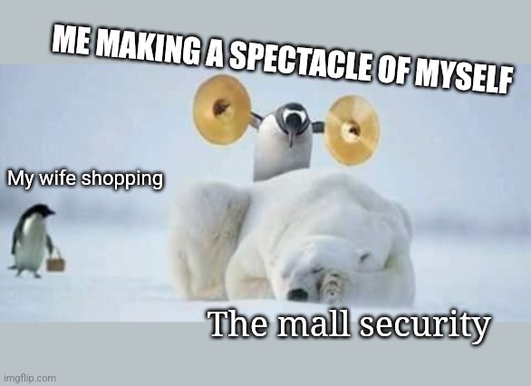 Fun at the mall | ME MAKING A SPECTACLE OF MYSELF; My wife shopping; The mall security | image tagged in shopping,penguins,polar bear,mall,security,funny memes | made w/ Imgflip meme maker