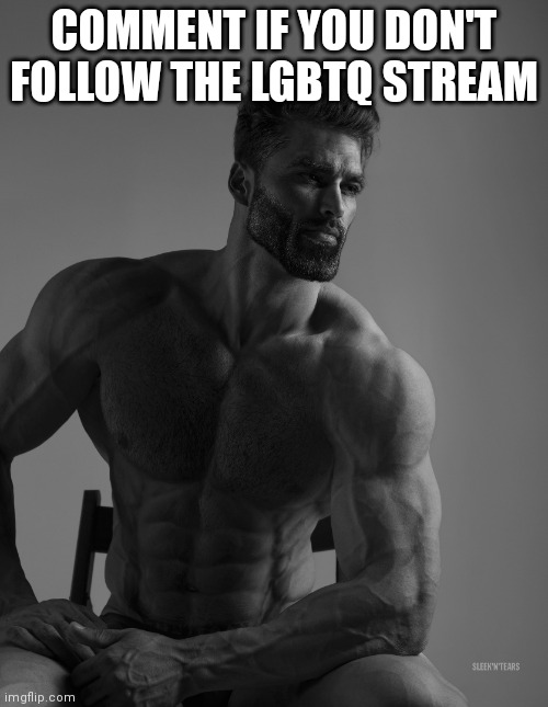 h | COMMENT IF YOU DON'T FOLLOW THE LGBTQ STREAM | image tagged in giga chad | made w/ Imgflip meme maker