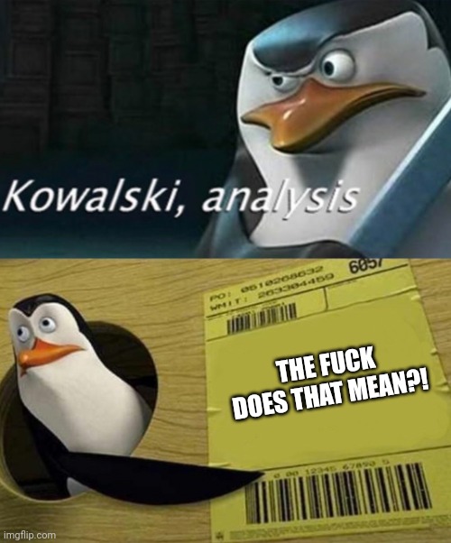 Kowalski Analysis | THE FUCK DOES THAT MEAN?! | image tagged in kowalski analysis | made w/ Imgflip meme maker