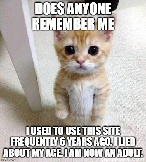Hey guys it's courier commenter of 2016 | DOES ANYONE REMEMBER ME; I USED TO USE THIS SITE FREQUENTLY 6 YEARS AGO. I LIED ABOUT MY AGE. I AM NOW AN ADULT. | image tagged in memes,cute cat | made w/ Imgflip meme maker
