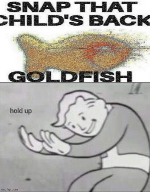 SNAP THAT CHLDS BACK hold up | image tagged in fallout hold up,snap that child's back | made w/ Imgflip meme maker