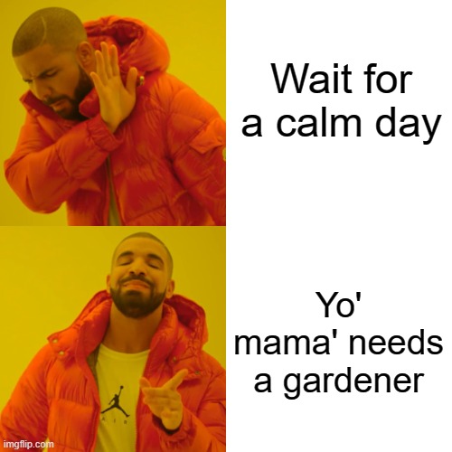 Drake Hotline Bling Meme | Wait for a calm day Yo' mama' needs a gardener | image tagged in memes,drake hotline bling | made w/ Imgflip meme maker