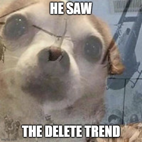 dear mod: i thought i posted this into the wrong stream my bad | HE SAW; THE DELETE TREND | image tagged in vietnam dog flashbacks | made w/ Imgflip meme maker