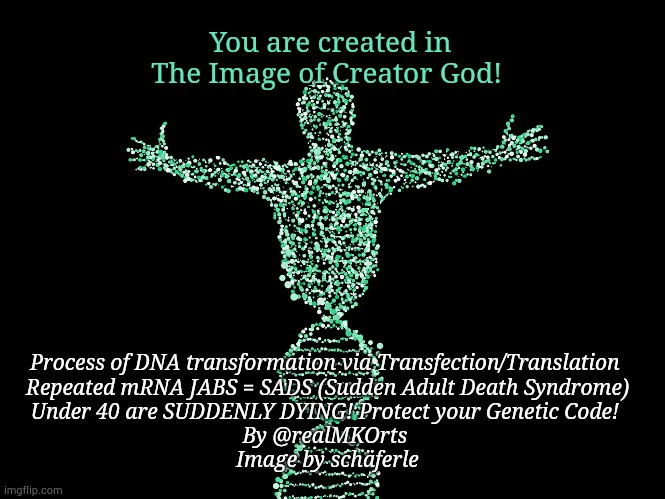 Genetic Code | You are created in The Image of Creator God! Process of DNA transformation via Transfection/Translation 
Repeated mRNA JABS = SADS (Sudden Adult Death Syndrome)
Under 40 are SUDDENLY DYING! Protect your Genetic Code! 
By @realMKOrts 
Image by schäferle | image tagged in faith,genetics,dna,human,humanity,jesus | made w/ Imgflip meme maker