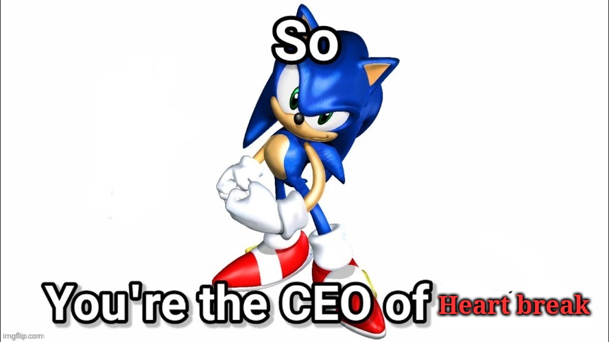 so you're the CEO of | Heart break | image tagged in so you're the ceo of | made w/ Imgflip meme maker