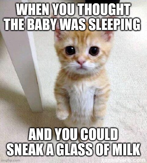 Cute Cat | WHEN YOU THOUGHT THE BABY WAS SLEEPING; AND YOU COULD SNEAK A GLASS OF MILK | image tagged in memes,cute cat | made w/ Imgflip meme maker