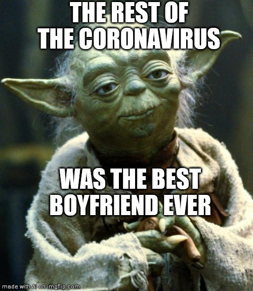 Star Wars Yoda | THE REST OF THE CORONAVIRUS; WAS THE BEST BOYFRIEND EVER | image tagged in memes,star wars yoda | made w/ Imgflip meme maker