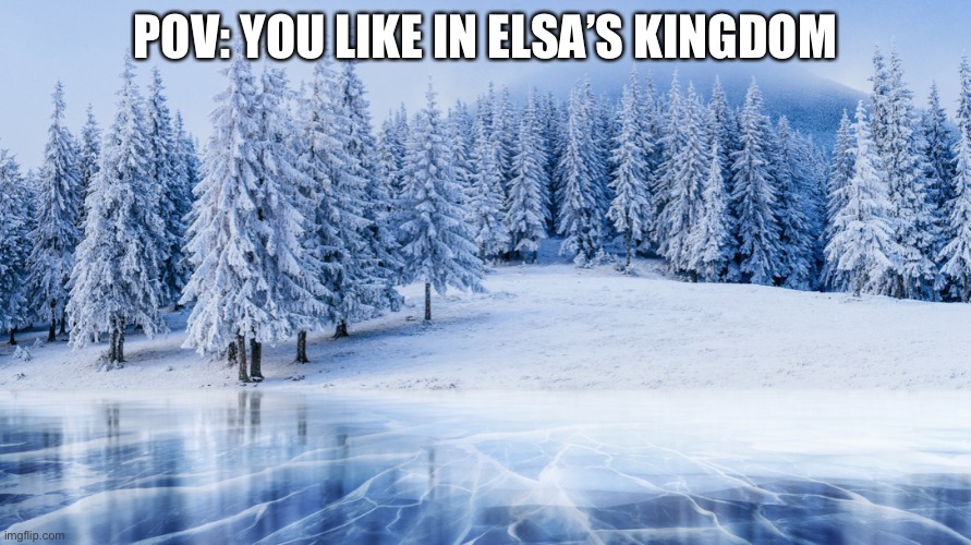 Elsa winter | POV: YOU LIKE IN ELSA’S KINGDOM | image tagged in snowflake,winter is coming,winter is here,tree | made w/ Imgflip meme maker