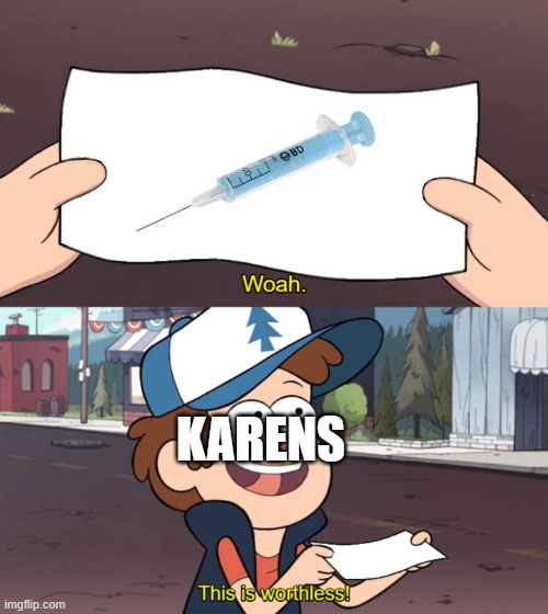 idiots |  KARENS | image tagged in this is worthless | made w/ Imgflip meme maker