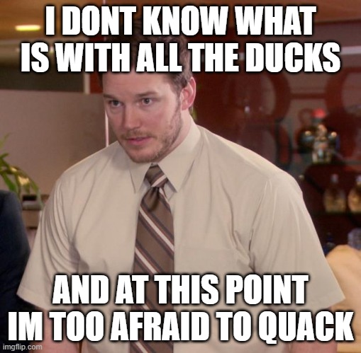 Afraid To Ask Andy Meme | I DONT KNOW WHAT IS WITH ALL THE DUCKS; AND AT THIS POINT IM TOO AFRAID TO QUACK | image tagged in memes,afraid to ask andy | made w/ Imgflip meme maker