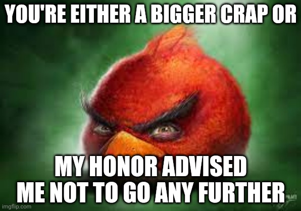 Realistic Red Angry Birds | YOU'RE EITHER A BIGGER CRAP OR; MY HONOR ADVISED ME NOT TO GO ANY FURTHER | image tagged in realistic red angry birds | made w/ Imgflip meme maker