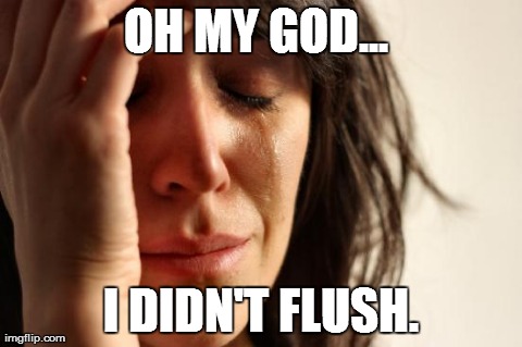 DID I FLUSH?  | OH MY GOD...  I DIDN'T FLUSH. | image tagged in girl problems,toilet humor,lol,haha,hilarious,memes | made w/ Imgflip meme maker