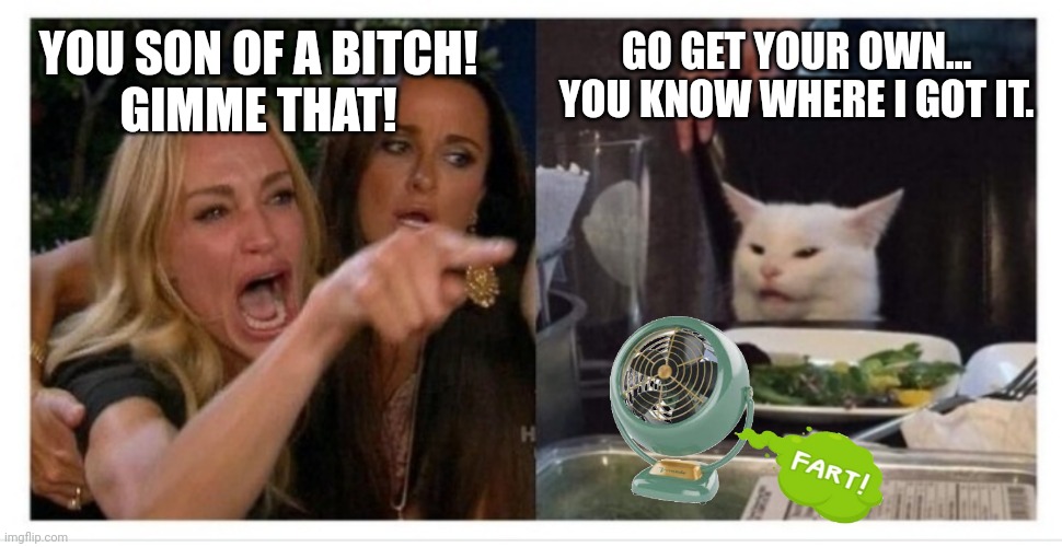 Look what the cat dragged in... | YOU SON OF A BITCH!
GIMME THAT! GO GET YOUR OWN...
YOU KNOW WHERE I GOT IT. | image tagged in woman yelling at a cat,angry woman,funny memes,memes,fan art,lady screams at cat | made w/ Imgflip meme maker
