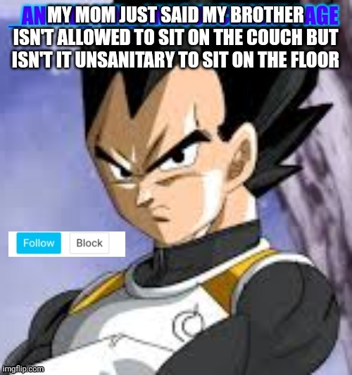 _anime_fan_ announcement page | MY MOM JUST SAID MY BROTHER ISN'T ALLOWED TO SIT ON THE COUCH BUT ISN'T IT UNSANITARY TO SIT ON THE FLOOR | image tagged in _anime_fan_ announcement page | made w/ Imgflip meme maker