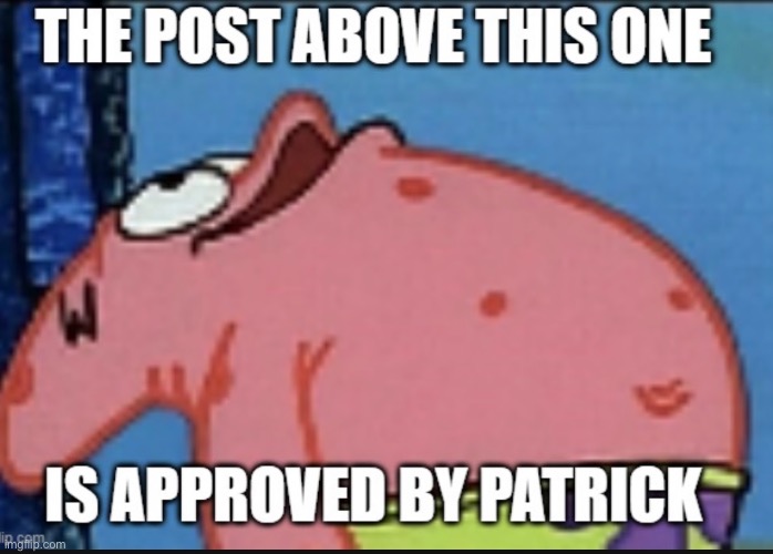 image tagged in patrick | made w/ Imgflip meme maker