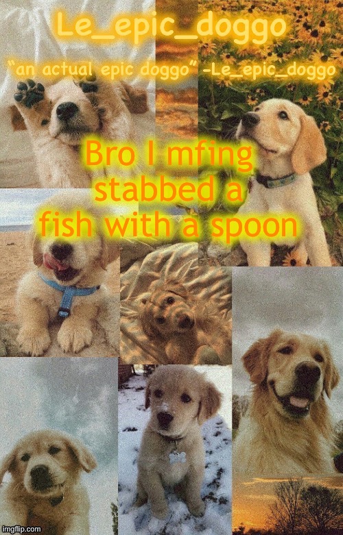 Doggo temp by doggo. Wait what that’s confusing | Bro I mfing stabbed a fish with a spoon | image tagged in doggo temp by doggo wait what that s confusing | made w/ Imgflip meme maker