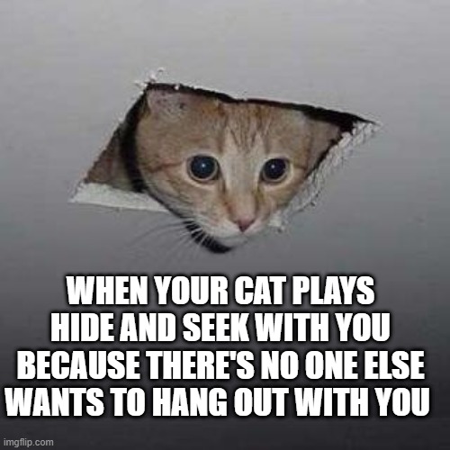 Ceiling Cat | WHEN YOUR CAT PLAYS HIDE AND SEEK WITH YOU BECAUSE THERE'S NO ONE ELSE WANTS TO HANG OUT WITH YOU | image tagged in memes,ceiling cat | made w/ Imgflip meme maker