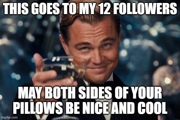 Checking up on my followers |  THIS GOES TO MY 12 FOLLOWERS; MAY BOTH SIDES OF YOUR PILLOWS BE NICE AND COOL | image tagged in memes,leonardo dicaprio cheers,followers | made w/ Imgflip meme maker