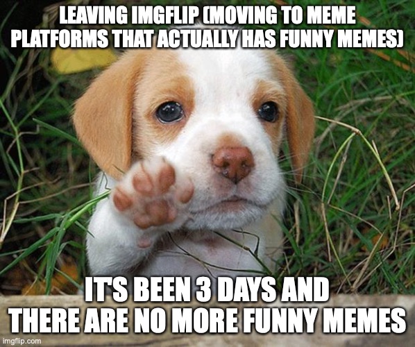 seriously though, these memes are just lazy nowadays | LEAVING IMGFLIP (MOVING TO MEME PLATFORMS THAT ACTUALLY HAS FUNNY MEMES); IT'S BEEN 3 DAYS AND THERE ARE NO MORE FUNNY MEMES | image tagged in dog puppy bye | made w/ Imgflip meme maker
