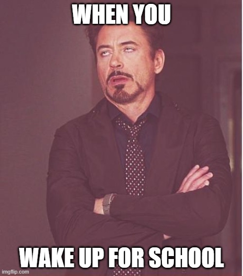 Face You Make Robert Downey Jr | WHEN YOU; WAKE UP FOR SCHOOL | image tagged in memes,face you make robert downey jr | made w/ Imgflip meme maker