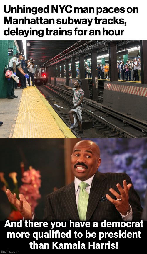 Appoint him as VP tomorrow! | And there you have a democrat
more qualified to be president
than Kamala Harris! | image tagged in memes,steve harvey,kamala harris,unhinged man on subway tracks,democrats,team biden | made w/ Imgflip meme maker