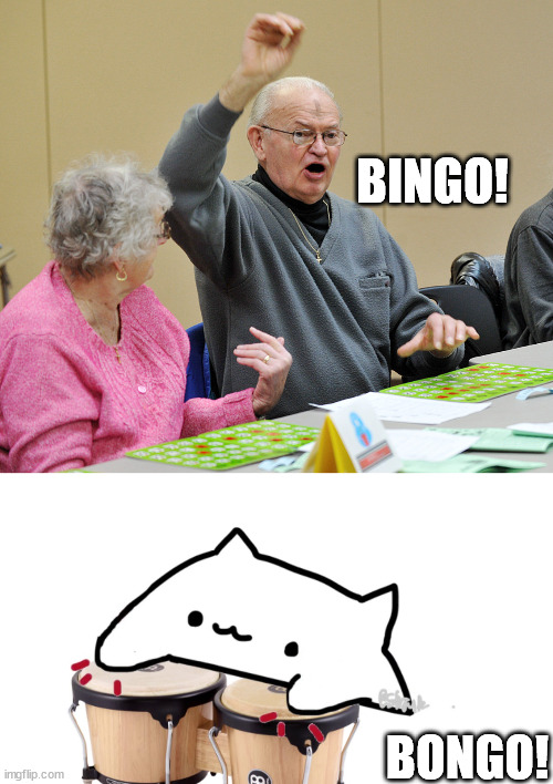 BINGO! BONGO! | image tagged in bingo,bongo cat | made w/ Imgflip meme maker