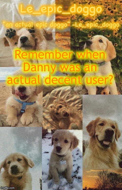 Doggo temp by doggo. Wait what that’s confusing | Remember when Danny was an actual decent user? | image tagged in doggo temp by doggo wait what that s confusing | made w/ Imgflip meme maker