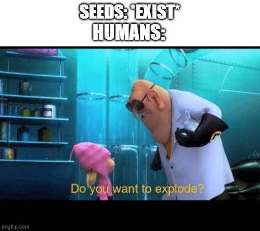 Do you want to explode |  SEEDS: *EXIST*; HUMANS: | image tagged in do you want to explode | made w/ Imgflip meme maker