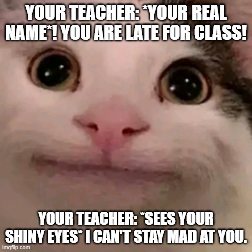 If The Teacher Gets Mad At You... | YOUR TEACHER: *YOUR REAL NAME*! YOU ARE LATE FOR CLASS! YOUR TEACHER: *SEES YOUR SHINY EYES* I CAN'T STAY MAD AT YOU. | image tagged in beluga,teacher | made w/ Imgflip meme maker