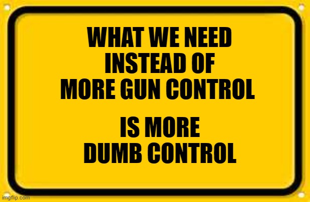 Blank Yellow Sign Meme | WHAT WE NEED INSTEAD OF MORE GUN CONTROL; IS MORE DUMB CONTROL | image tagged in memes,blank yellow sign | made w/ Imgflip meme maker