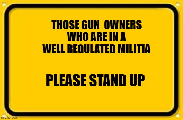 Blank Yellow Sign Meme | THOSE GUN  OWNERS WHO ARE IN A WELL REGULATED MILITIA; PLEASE STAND UP | image tagged in memes,blank yellow sign | made w/ Imgflip meme maker