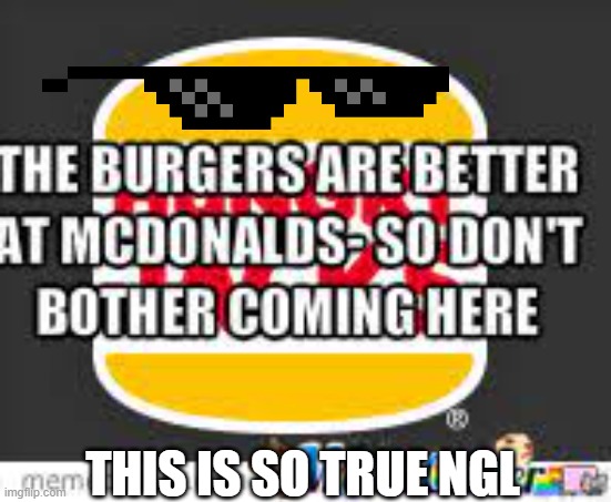 super true | THIS IS SO TRUE NGL | image tagged in burger,funny,meme | made w/ Imgflip meme maker