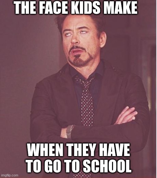 That face | THE FACE KIDS MAKE; WHEN THEY HAVE TO GO TO SCHOOL | image tagged in memes,face you make robert downey jr | made w/ Imgflip meme maker