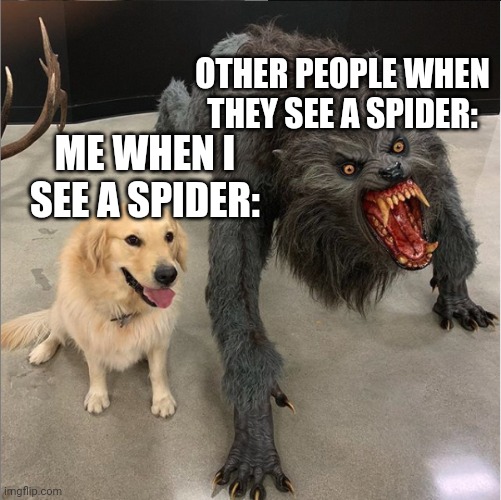 dog vs werewolf | OTHER PEOPLE WHEN THEY SEE A SPIDER:; ME WHEN I SEE A SPIDER: | image tagged in dog vs werewolf | made w/ Imgflip meme maker