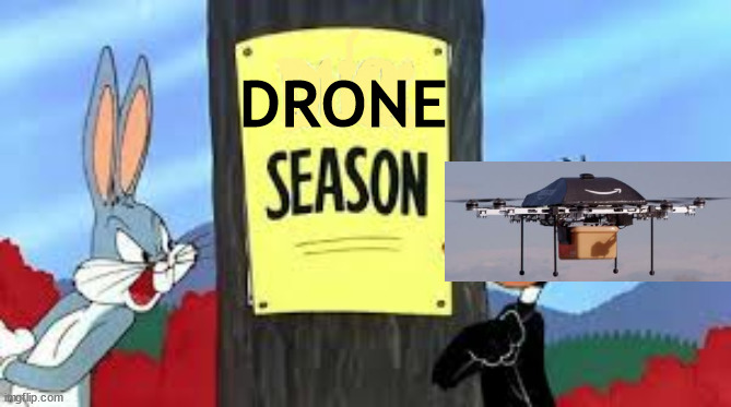 Shhh... Be vewy, vewy quiet | DRONE | image tagged in rabbit season duck season | made w/ Imgflip meme maker