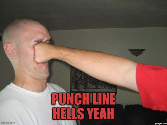 Face punch | PUNCH LINE
HELLS YEAH | image tagged in face punch | made w/ Imgflip meme maker