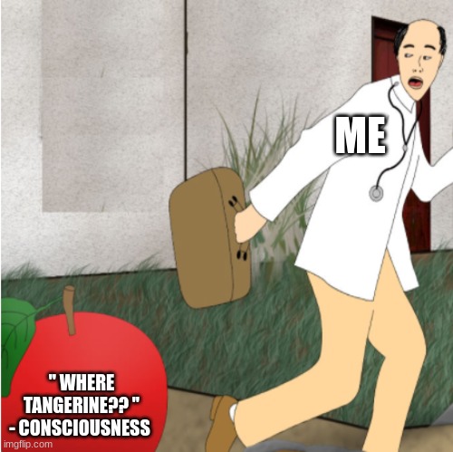PLEASE CALM YOURSELF, CONSCIOUSNESS | ME; " WHERE TANGERINE?? " - CONSCIOUSNESS | image tagged in doctor running away from apple | made w/ Imgflip meme maker